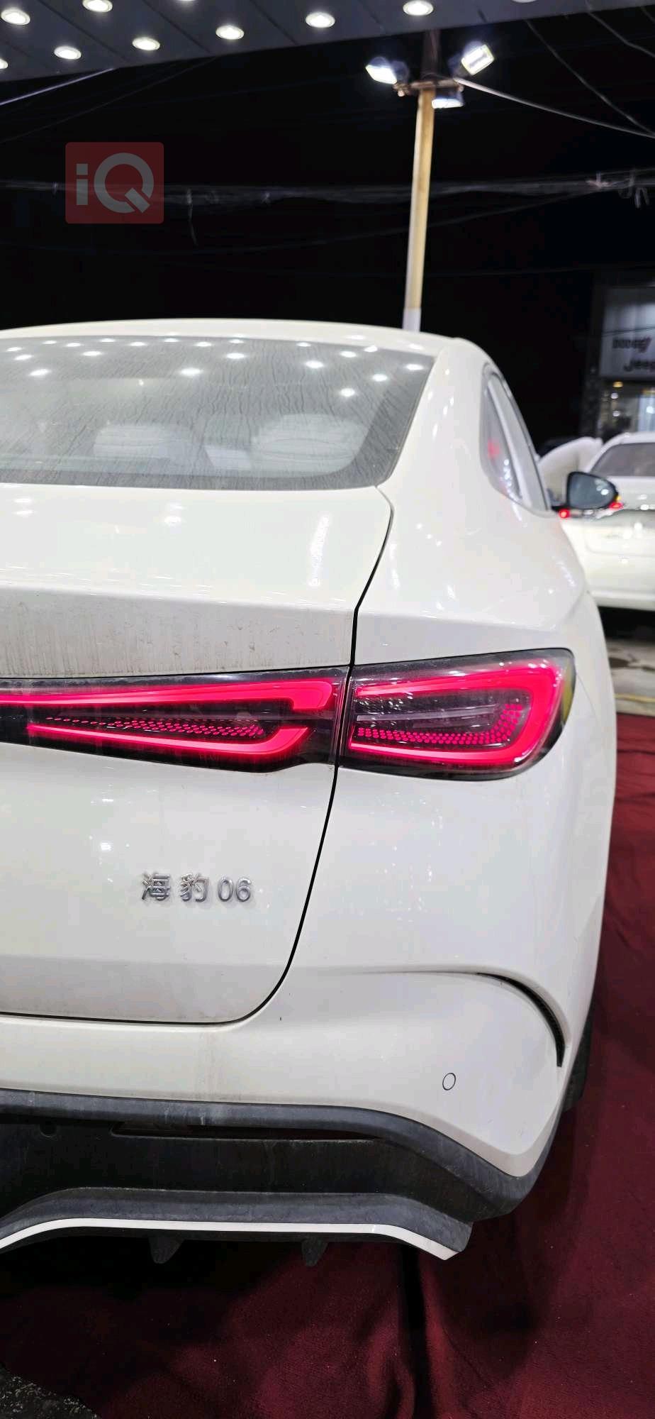 بی وای دی سيل 06 DM-i